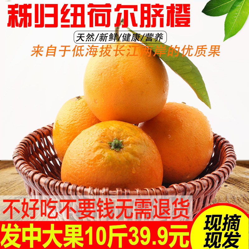 Zigui Navel fresh fruit Newhall Orange 10 Blood Orange Gannan Candy orange