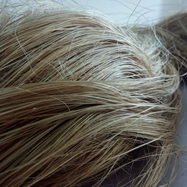 植物工艺品;扇子;绳子类