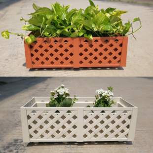 �Wʽ ��ͥ�h���߲˷Nֲ���̨�҃Ȼ���Ӻ�N�������ϻ���N����