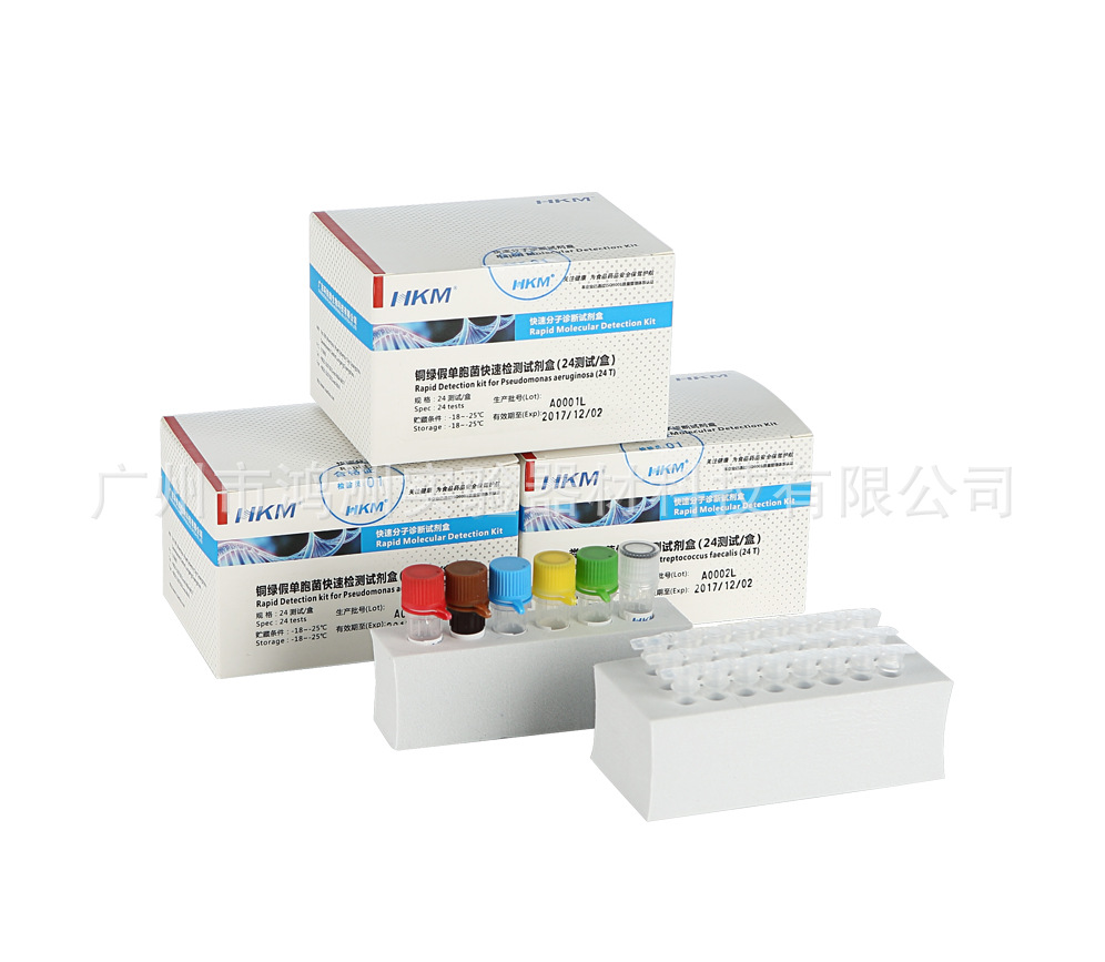 V. nucleic acid fast testing Kit wholesale