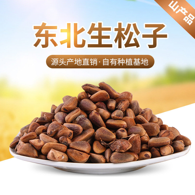 东宁润乡 东北干货特产散货零食松子500克
