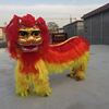整套舞狮道具北狮正宗北京双人舞狮头舞龙舞狮社火道具 狮子头