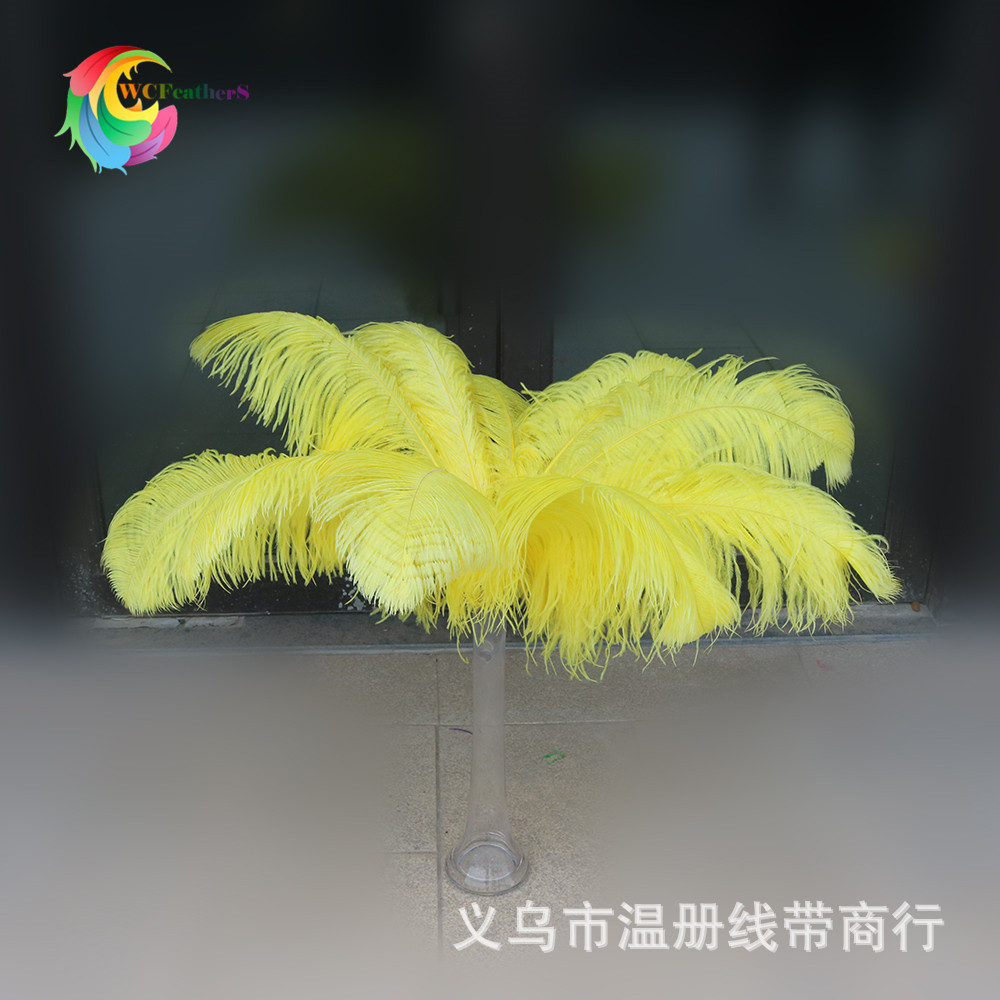 温册羽毛厂家定制原支小鸵鸟毛布边服装裙摆装饰小羽毛100码起详情图20