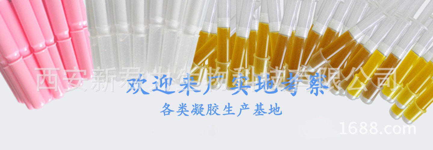 3783265536_362709494