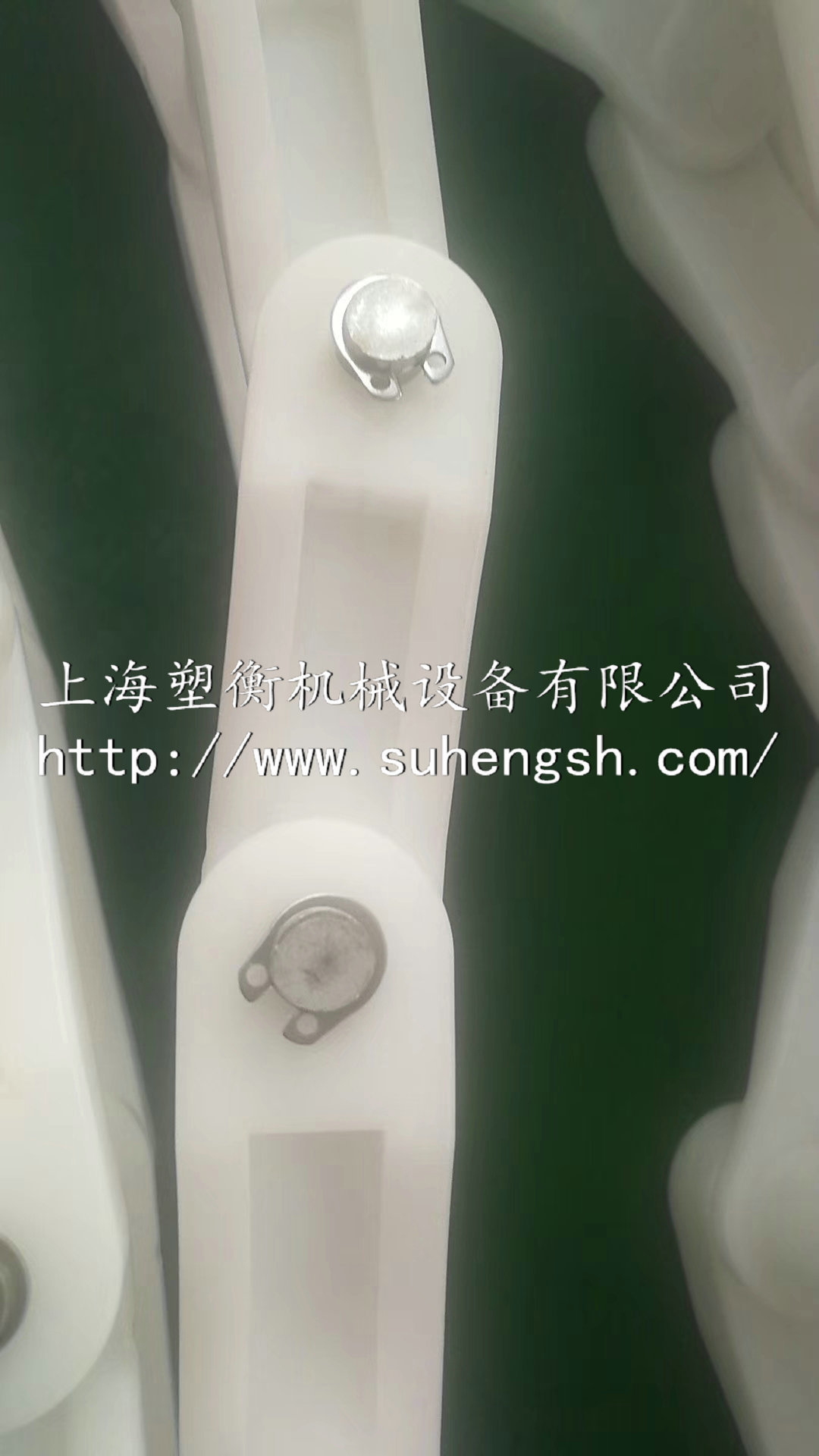 刮渣机刮板机塑料尼龙链条 链条刮泥机/66.3