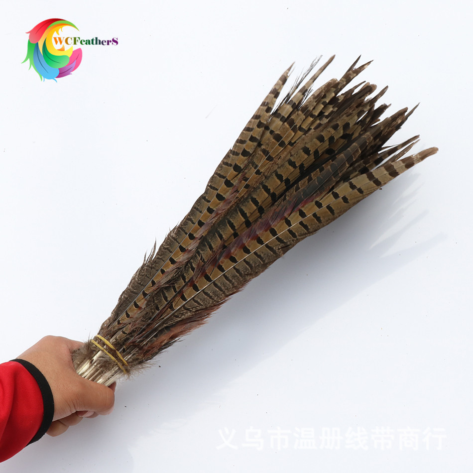 温册羽毛 厂家直销15-65cm天然山鸡尾七彩山鸡舞台演出剧组专用详情图6