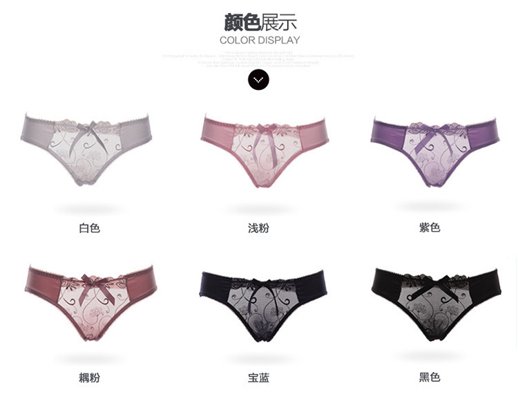 perspective hollow embroidery panty NSXQ15149