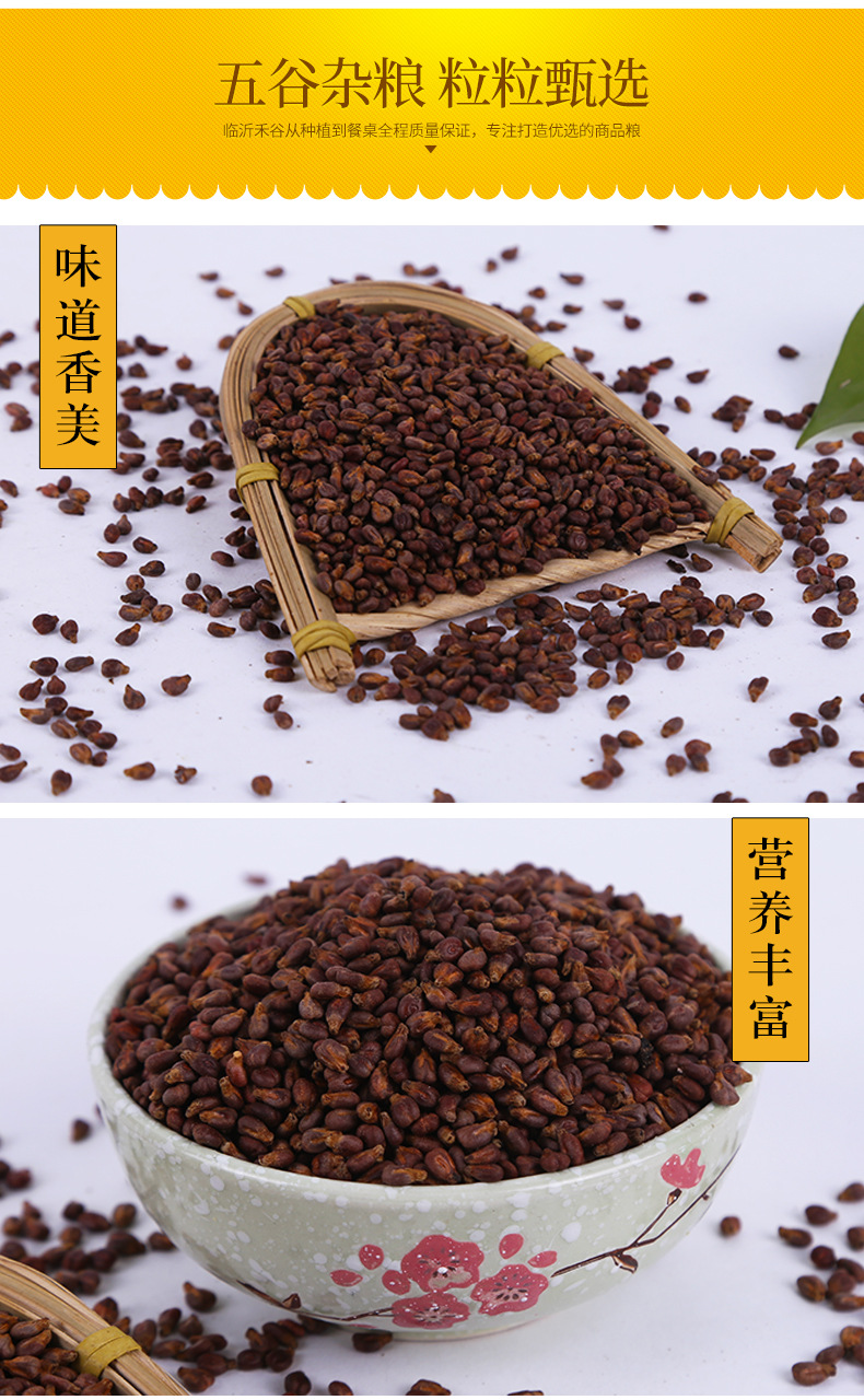 Roasted Grape Seed Kernels 500g Low Temperature Baked Bulk Raw Material for Grinding and Powder preparation