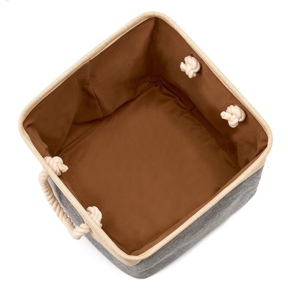 61PplQMd0xL._SL1001_