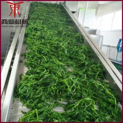 [供应商鼎 菠菜清洗线 黄桃清洗机 304不锈钢制作]