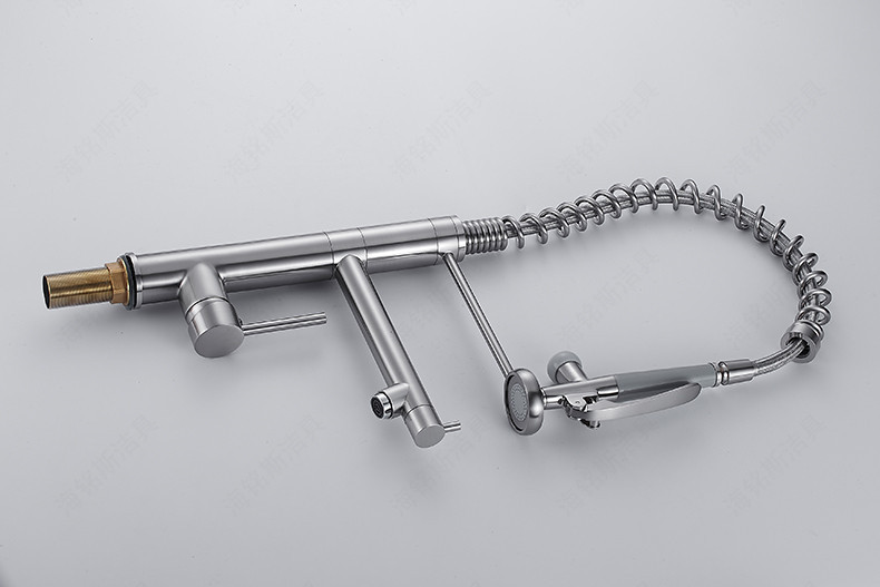 Haimingsi Spring brushed high-end kitchen faucet sink vegetable faucet dual water outlet cold and hot water 9125 Application Scenario