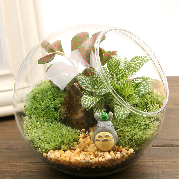 Eco-Bottle originality gift moss and lichen Scenery suit Office plants DIY Mini potted wholesale