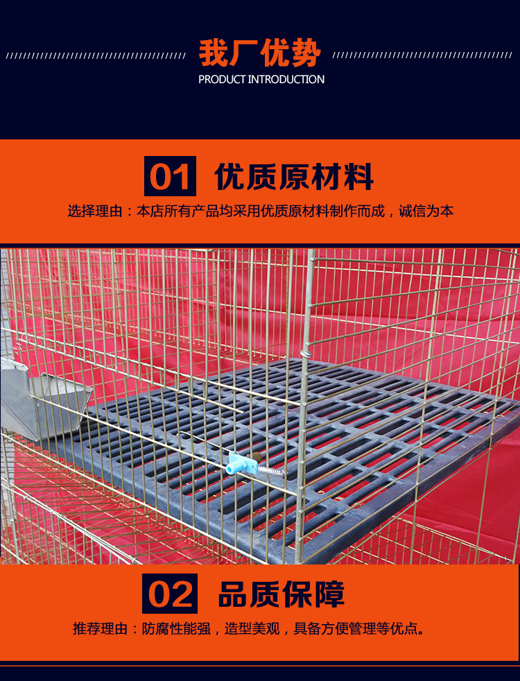 9216829438_423296225