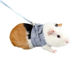仓鼠窝、笼;猫猫服饰;猫猫窝/笼/垫