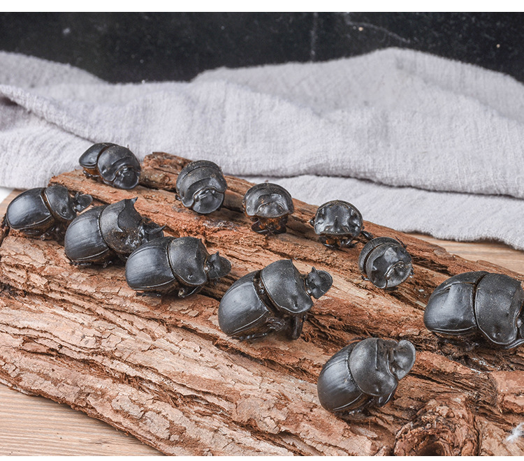 Da Jiang Jun (Catharsius molossus) — Dried Dung Beetle Insect Herb, Yunnan Origin, 500g Bulk quality and texture