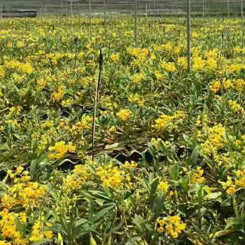 微信圖片_20181010152628