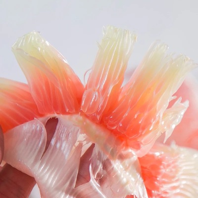 供应泰国青皮红心柚子新鲜水果柚子