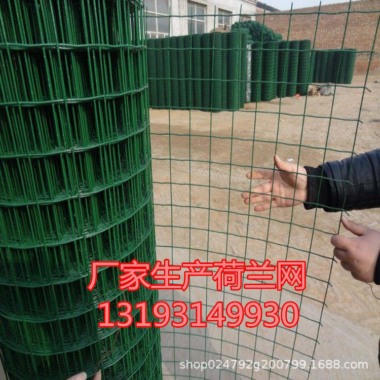 厂家直销浸塑荷兰网养殖防护网果园围网圈山围栏网鱼塘养殖用绿网
