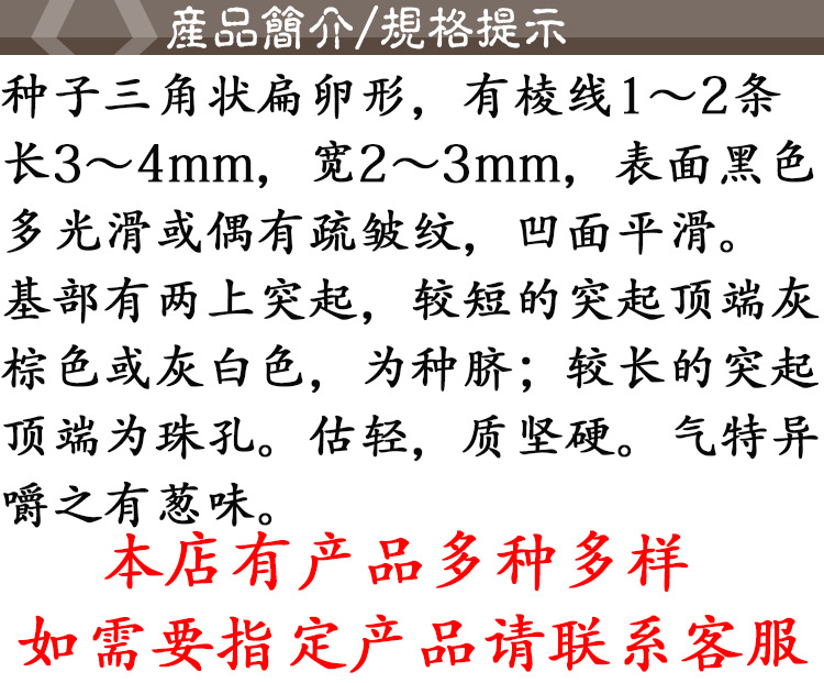 Cong Zi (Allium fistulosum) — Dried Welsh Onion Seeds, Food-Herb Botanical quality and texture
