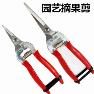 �ɹ��� ժ����ժ ϡ���� ���Ѽ� ���P���֦�� �廨�� ���Ӽ���