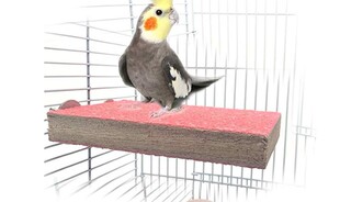 �B���ĥɰ�� ĥɰվ�� �����W�^��؈�}��\ĥɰͨ���p�ݽz����