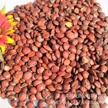 ȫ����؛�ᗗ��  ���l�͜غ決���ᗗ�ʇ��a؛��ș�� �ᗗ������