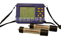 上海乐傲310钢筋锈蚀检测仪/检测仪 钢筋锈蚀仪