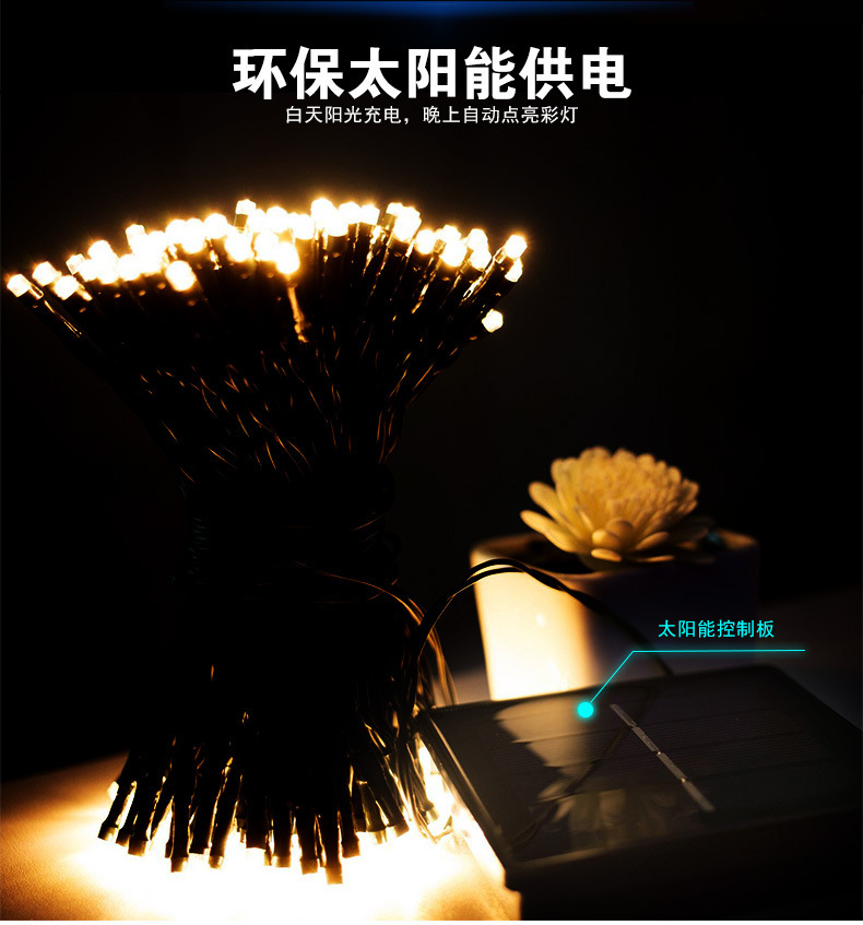 8543142506_1241356606