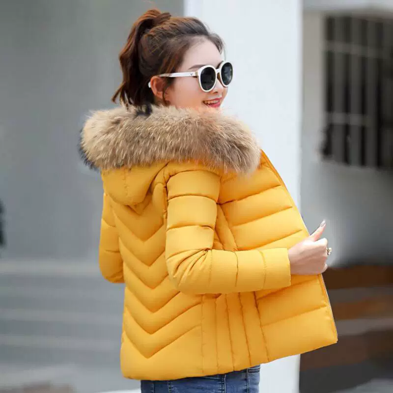 Winter short fitted down jacket with down, wholesale, 2019, Korean style