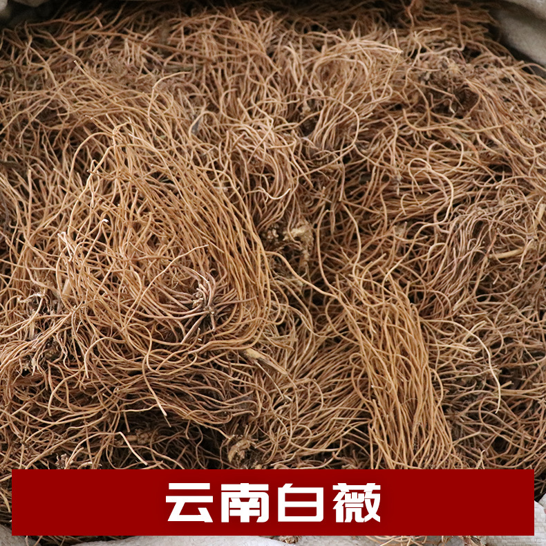 源头低价批发各类中药材 白薇中药材批发 白薇-阿里巴巴