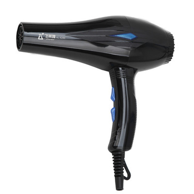 L&#39;Oreal Wholesale agents Blue light anion Hair care Hair dryer 2400 hotel household Hair dryer constant temperature