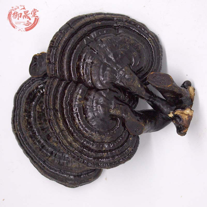 东北特产半野生滋补500g灵芝 紫灵芝可切片中药材煲汤磨粉泡酒料