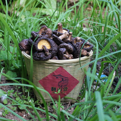 2018年新椴木香菇 福建农家干货特产 传统工艺柴烧烤制高品质山货|ru
