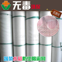 �߲˴�����x�W���W ������x�W�ַ��B�W��ꖾW ����40Ŀ�����W