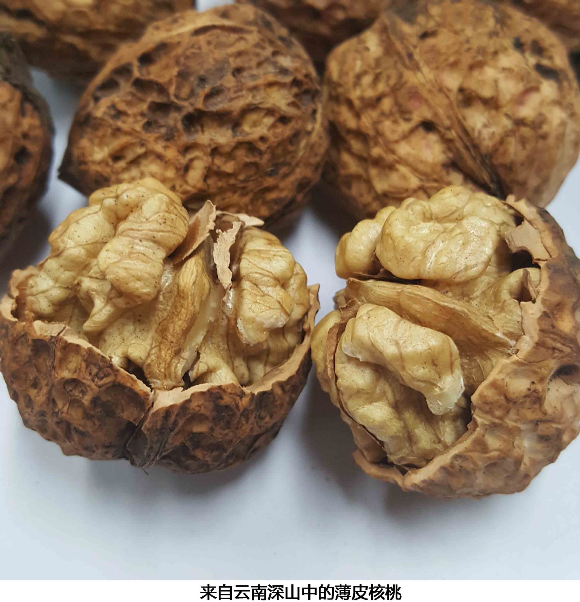 【昭通森宝云南核桃200g】原味干果坚果特产零食纸皮大仁核桃200G-阿里巴巴