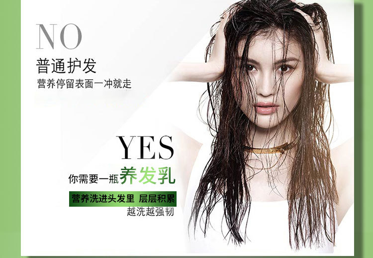 植物叶子详情页1_08