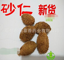 ���l��ș��ɰ�� ��ɰ�� ��؛���l ��؛�o��ɰ��