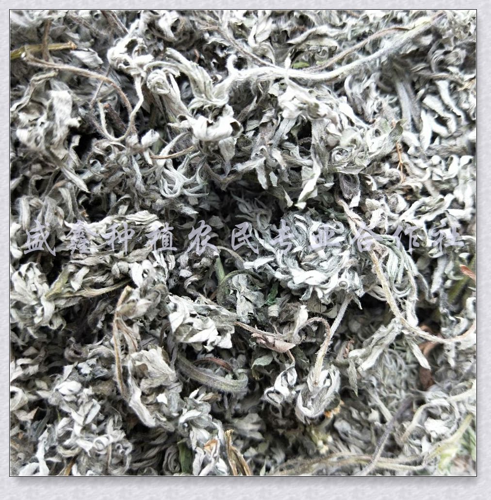 水蒿   野生水蒿  甘肃武都野生水蒿叶子   产地批发  量大从优