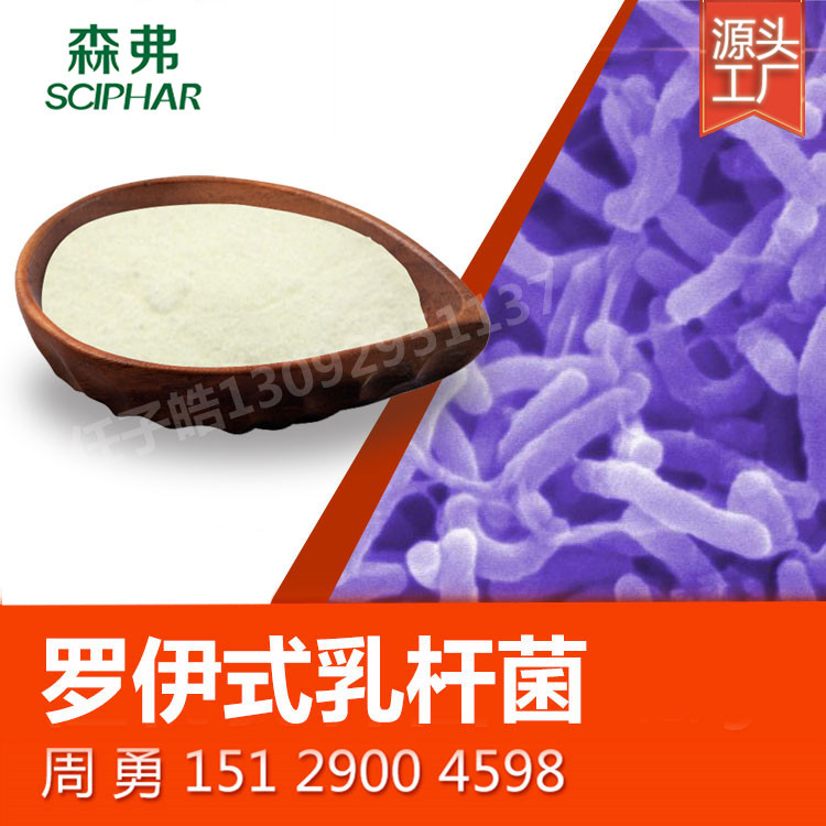 罗伊式乳杆菌 活性100亿/g 森弗厂家直销 微囊包埋   益生菌