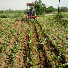 厂家中耕机好用的 中耕机3Z-3土地耕整机械中耕施肥机 农用四轮拖