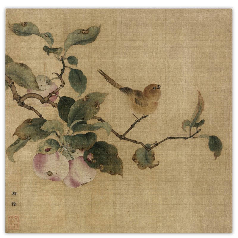 宋-林椿-果熟来禽4.jpg