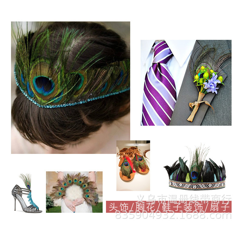 温册羽毛现货大量销售孔雀毛70-80cm印度天然兰孔雀开屏尾加长详情图20