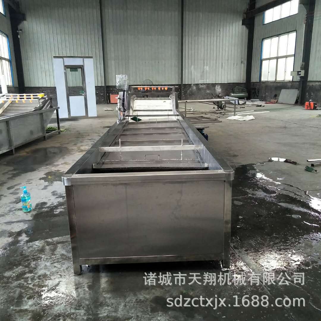 筛板式清洗机蔬菜水果清洗机 果蔬清洗机售后保障食品级去农残