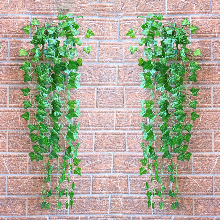 大壁挂 爬山虎 两支.jpg