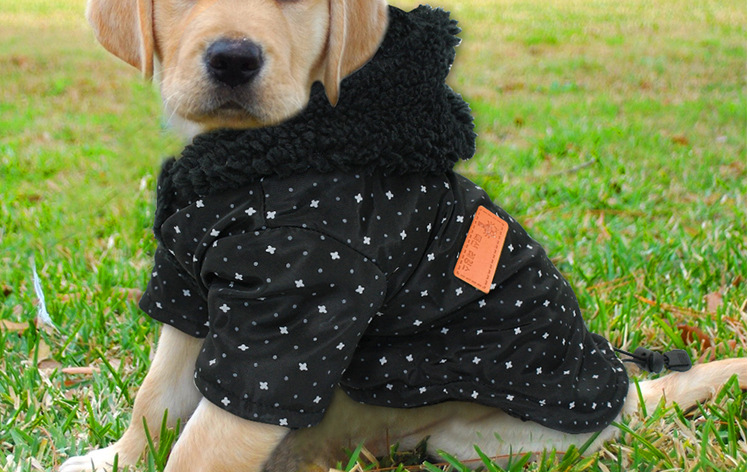 Warm Dog Coat