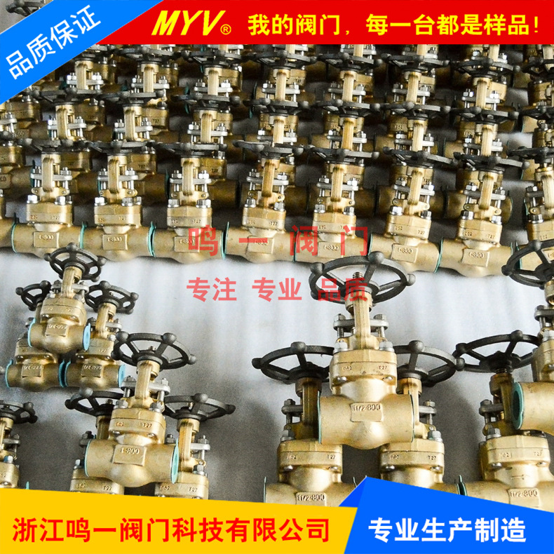 锻造铝青铜螺纹闸阀 B62 C95500 C95800铝青铜硬密封闸阀阀门厂家