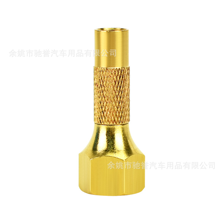 厂家直销纯铜胎压枪充气头 批发拧紧式充气嘴