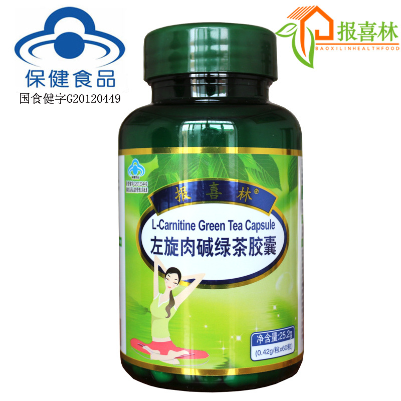 定做 左旋肉碱胶囊 报喜林左旋肉碱绿茶胶囊 左旋肉碱 茶多酚|ms