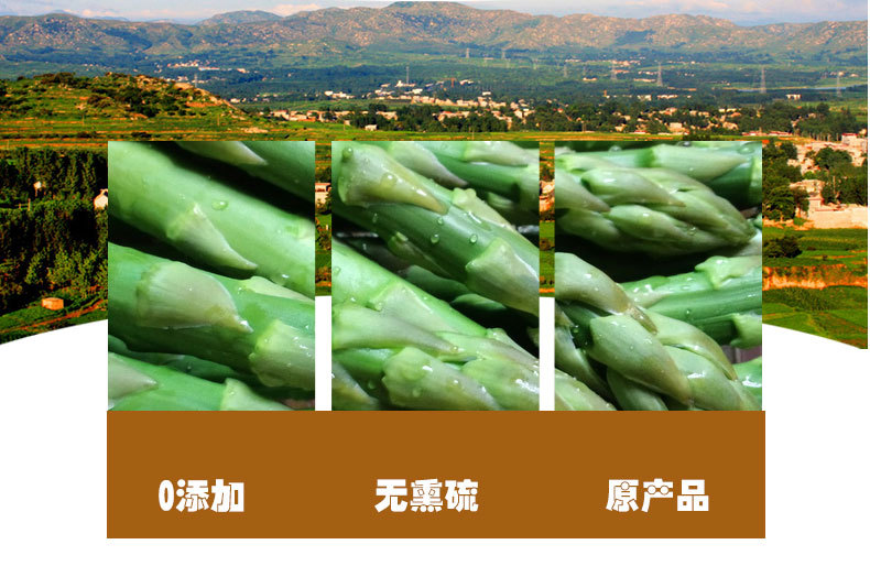 Shi Diao Bai Root (Asparagus officinalis) — Dried Dao-Di Herb, Sulfur-Free, 500g quality and texture