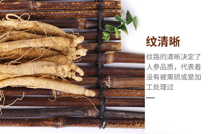 吉森参详情页_05